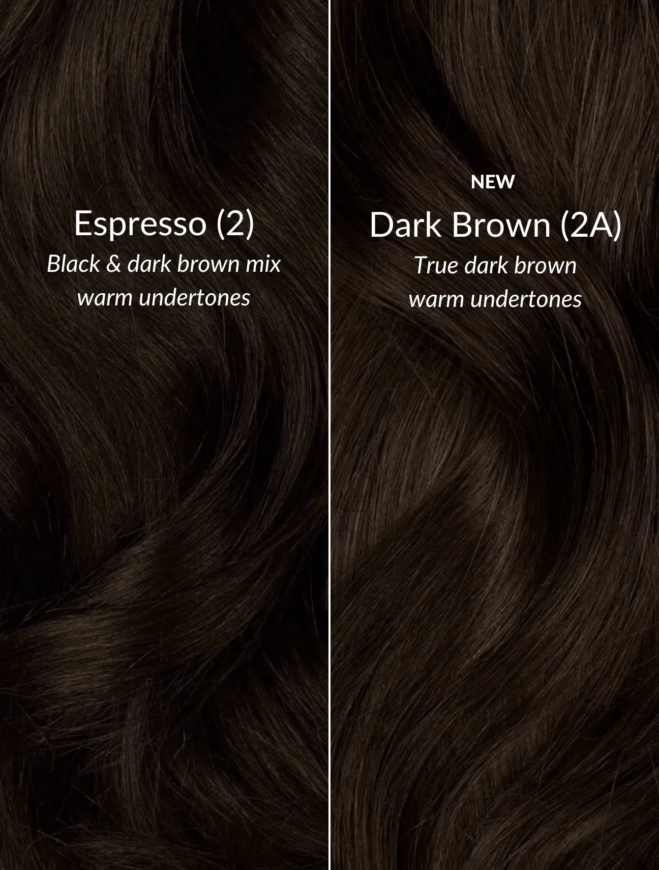 Dark Brown (2A) 22" 270g - Clip-Ins