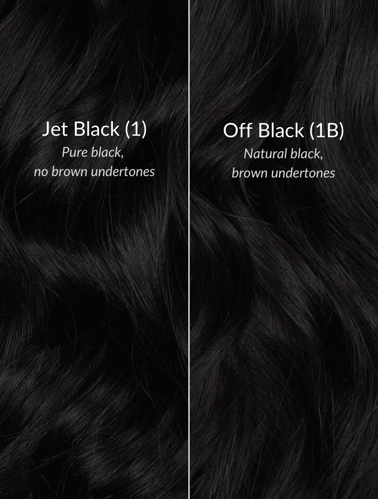 Jet Black (1) Seamless Clip-Ins