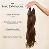 Caramel Brown (4) Halo