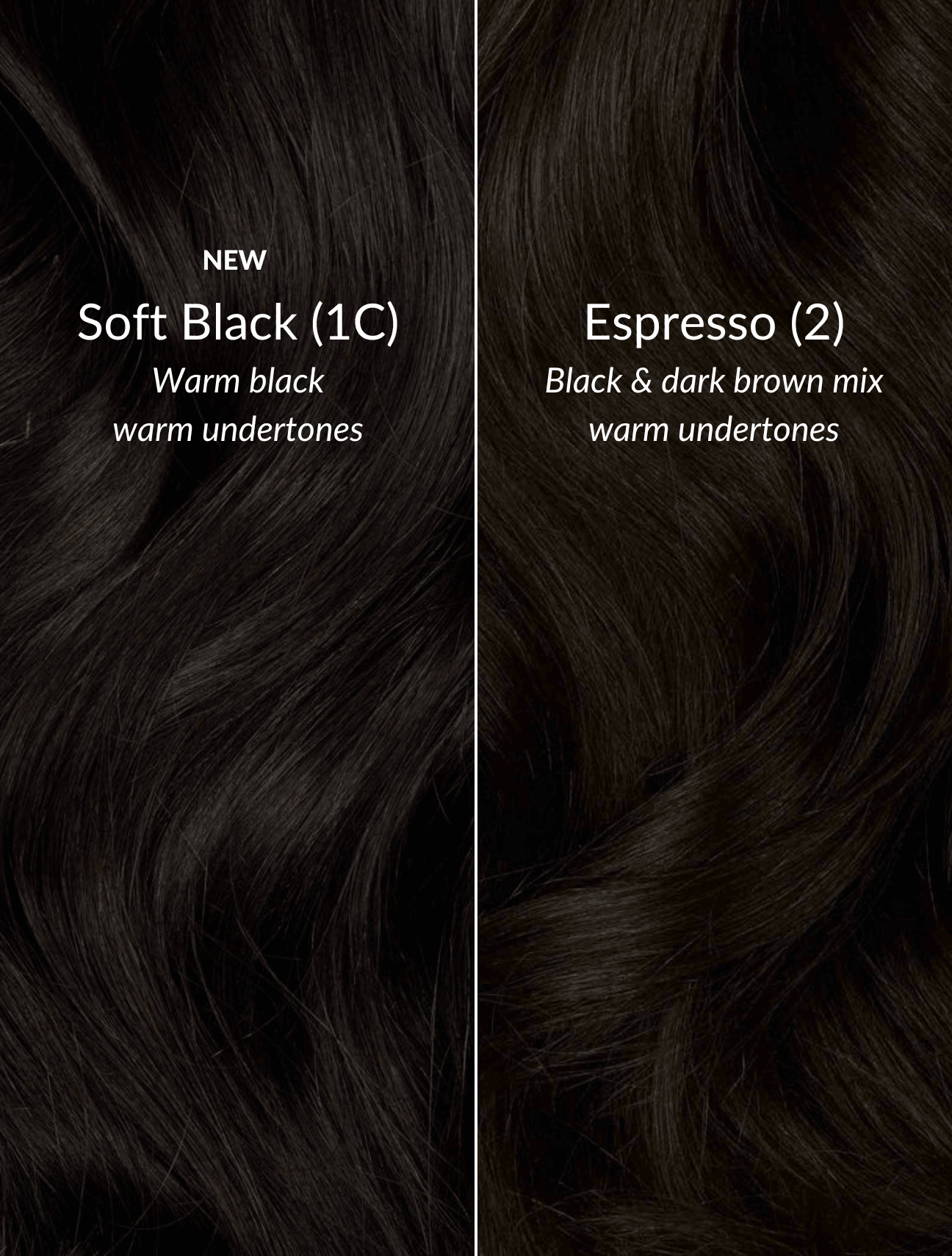 Espresso (2) Thinning Hair Fill-Ins