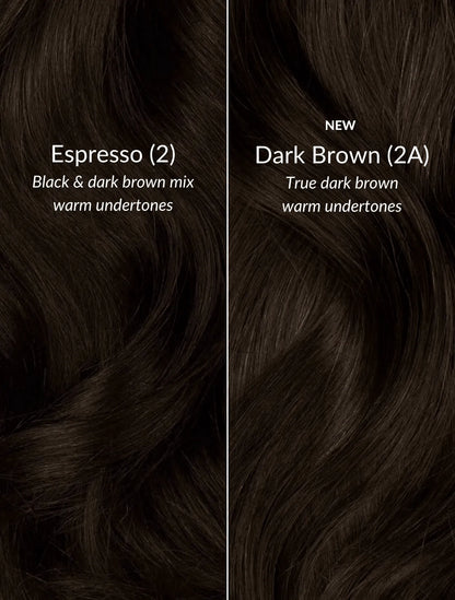 Dark Brown (2A) Thinning Hair Fill-Ins