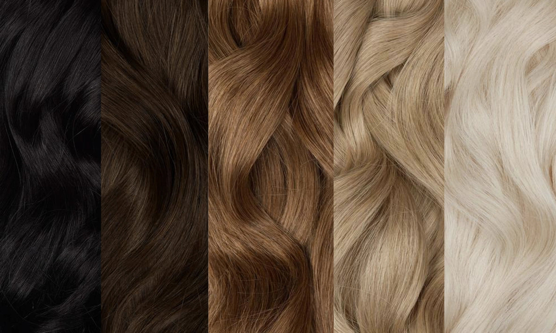 40+ Hair Colors