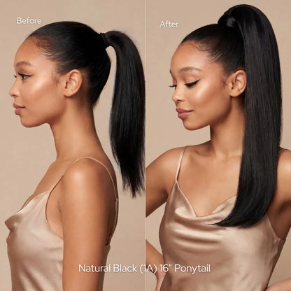 Medium Brown (2B) Ponytail