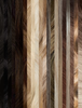 All Clip-in Color Swatches (24)
