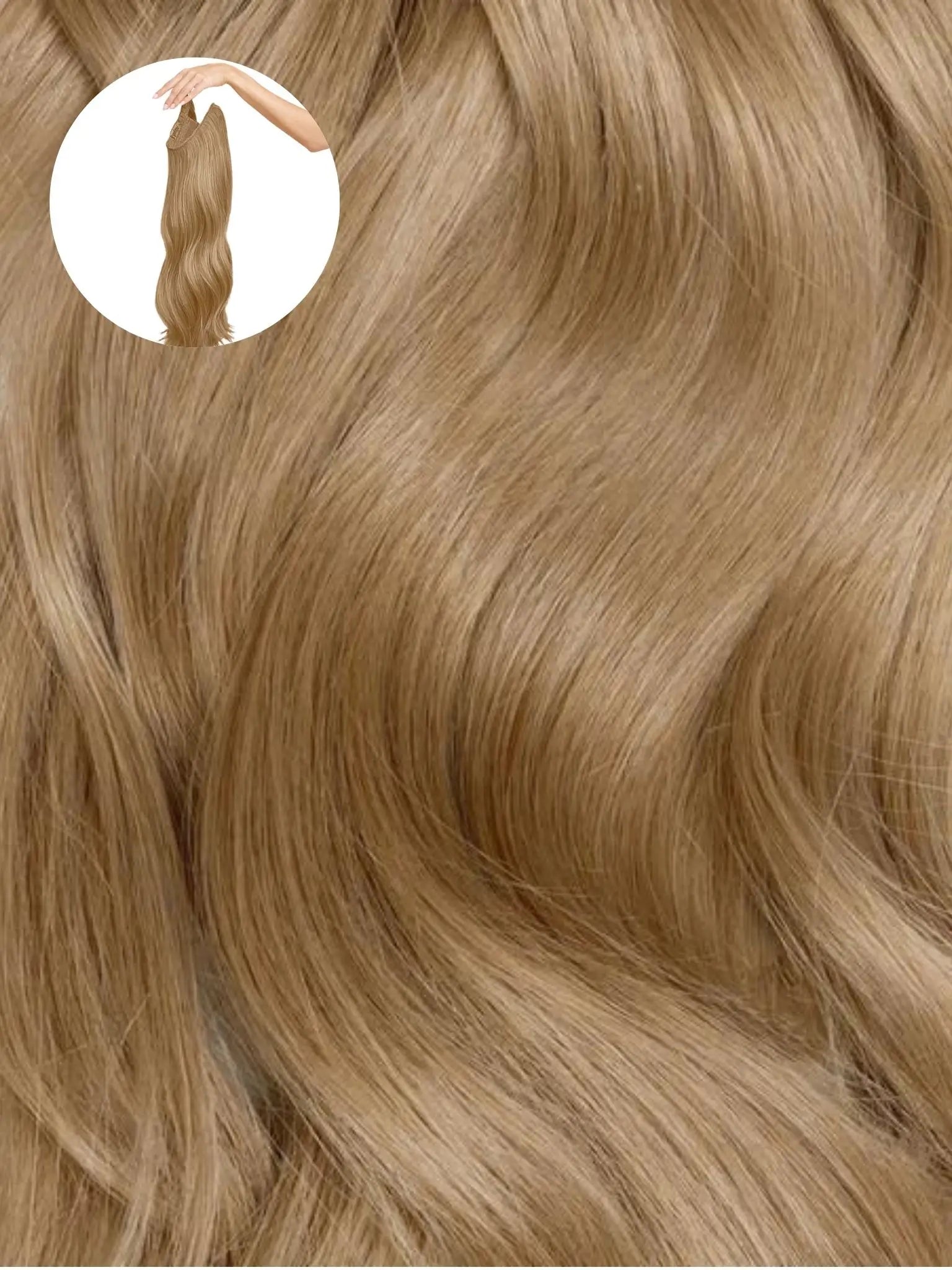 Ash Brown (8) Halo