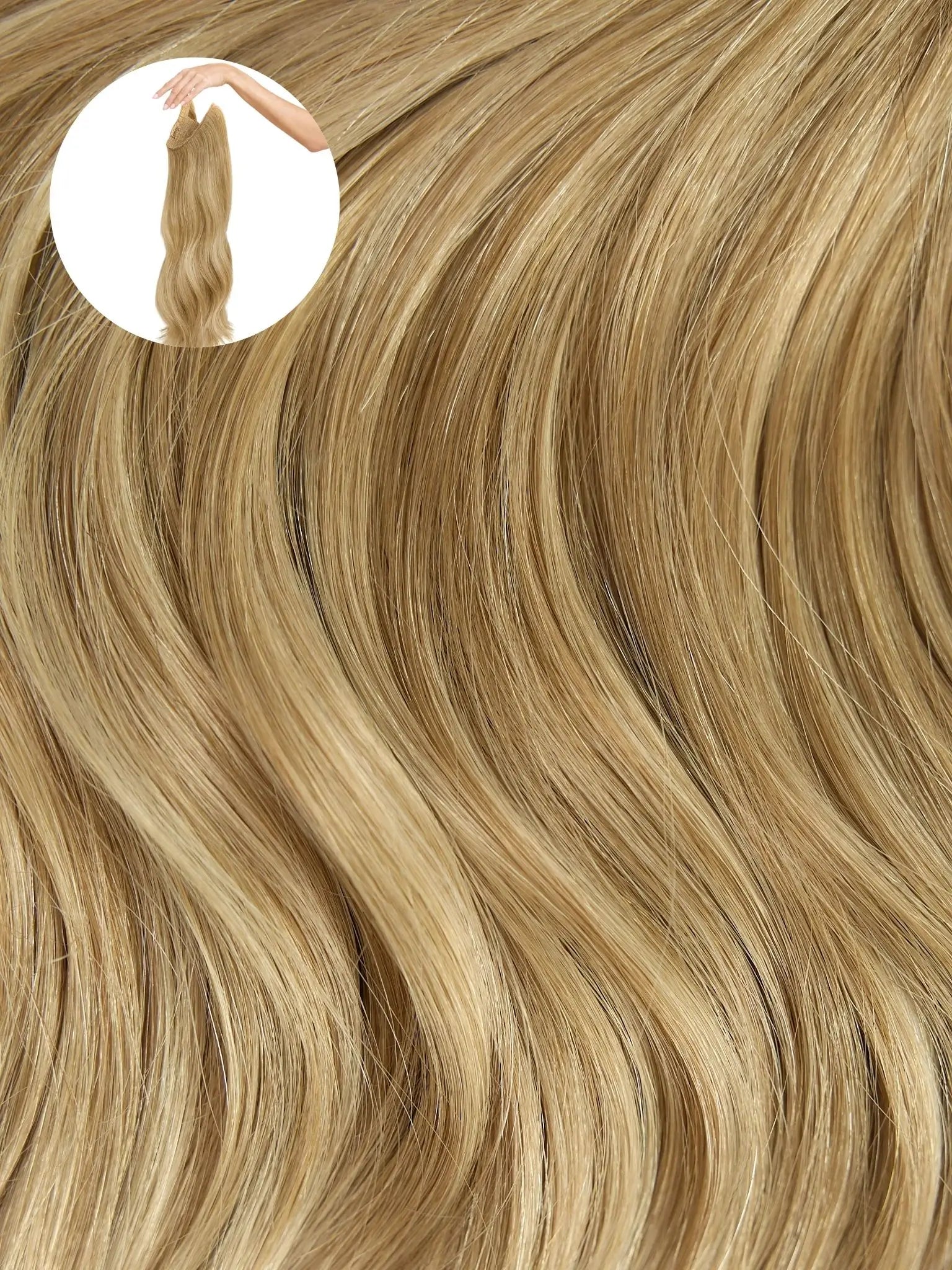 Bronde Balayage (B8/22) Halo
