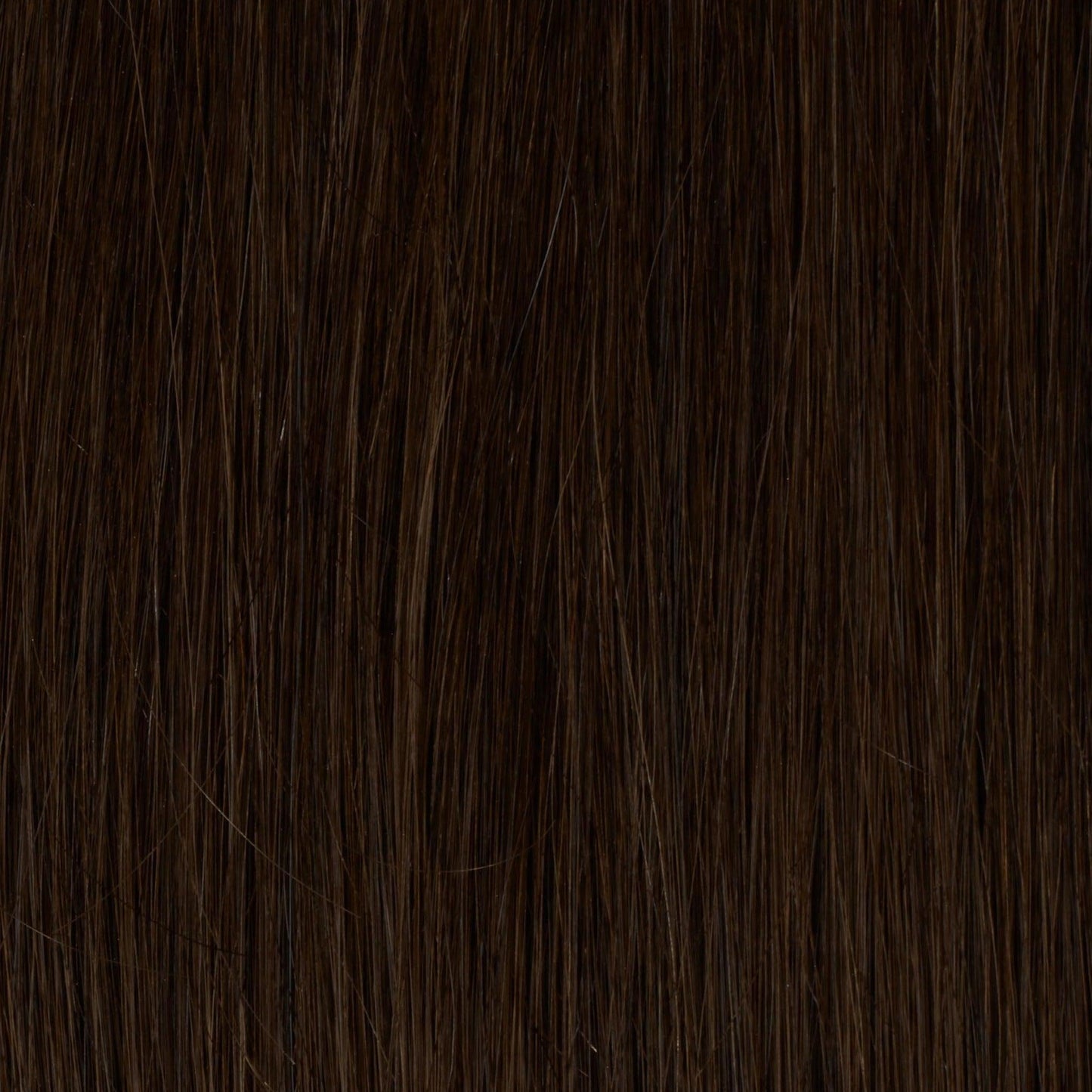 Medium Brown (2B) 24" 270g