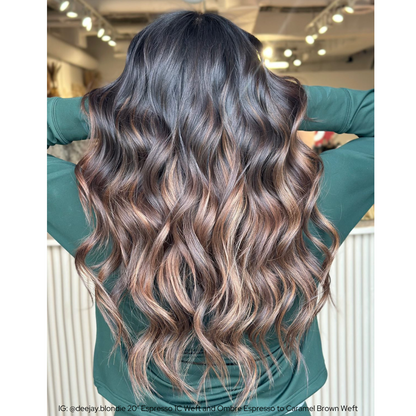 Ombre Espresso (#1C) to Caramel Brown (#6C) 100g Weft