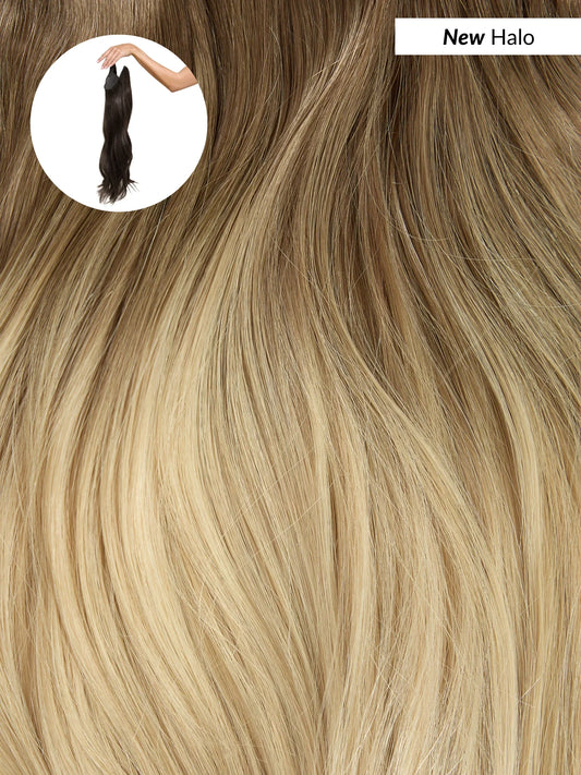 Ombre - Cool Brown To Dirty Blonde (T6/20) Halo