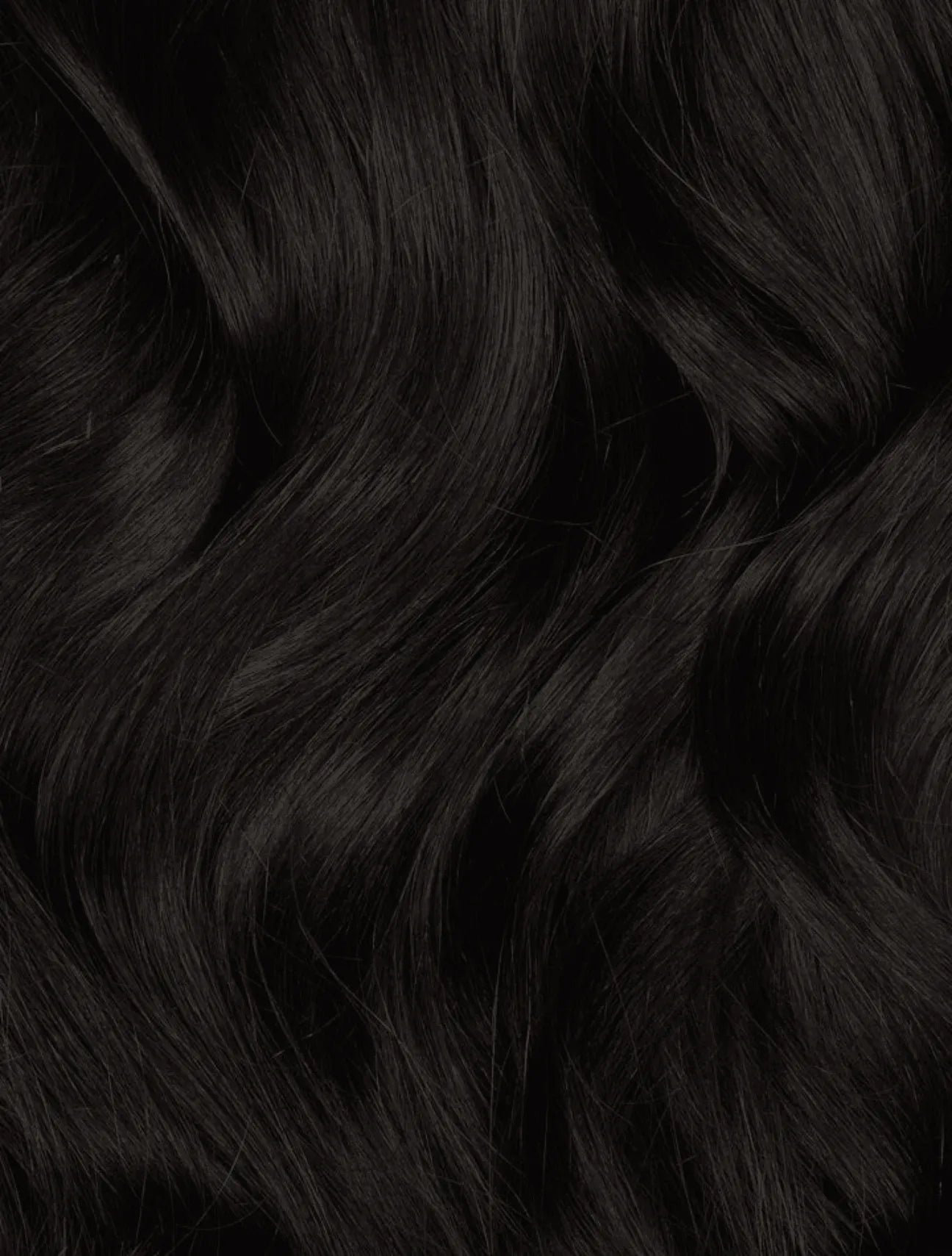 Off Black (1B) 24" 250g - Clip-Ins