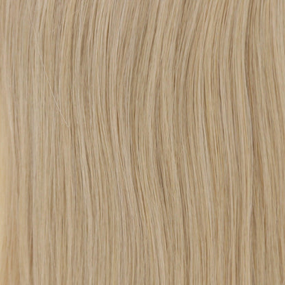 Highlight (Dirty Blonde #19C / White Blonde #60B) Tape (50g)