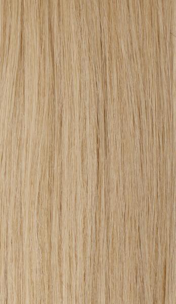 Dirty Blonde (9/19C) Ponytail