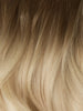 Ombre - Cool Brown to Dirty Blonde (T6/20) Genius Weft 22